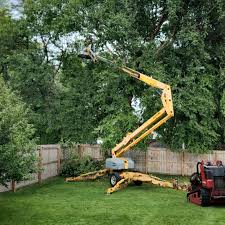 Best Utility Line Clearance  in Clarion, PA