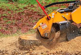 Best Tree and Shrub Care  in Clarion, PA